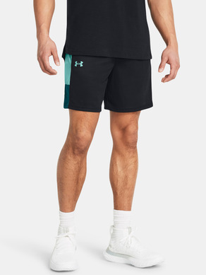 Under Armour UA Baseline Shorts