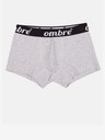 Ombre Clothing Boxershorts 7 Stück