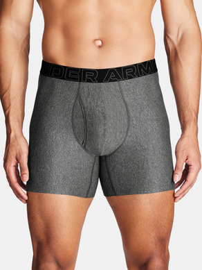 Under Armour UA Perf Tech 6in Boxer-Shorts