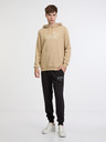 Puma ESS Big Logo Hoodie FL Sweatshirt