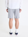 Celio Gosmartbm 30 Shorts