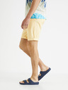 Celio Bochinobm Shorts