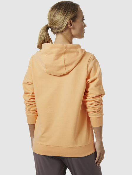 Helly Hansen HH Logo Hoodie 2.0 Sweatshirt