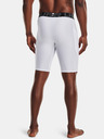 Under Armour HG Armour Lng Shorts