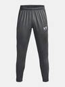 Under Armour UA M's Ch. Train Hose