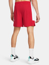 Under Armour UA Baseline Shorts