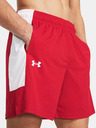 Under Armour UA Baseline Shorts