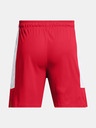 Under Armour UA Baseline Shorts