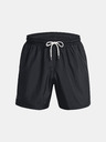 Under Armour UA Essential Volley Shorts