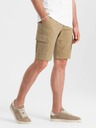 Ombre Clothing Shorts