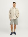 Jack & Jones Tony Shorts