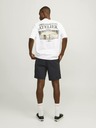 Jack & Jones Ace Shorts