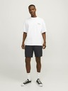 Jack & Jones Ace Shorts