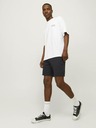 Jack & Jones Ace Shorts