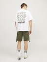 Jack & Jones Cole Shorts