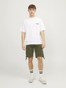 Jack & Jones Cole Shorts