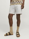 Jack & Jones Ace Shorts