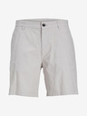 Jack & Jones Ace Shorts