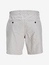 Jack & Jones Ace Shorts