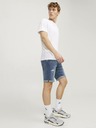 Jack & Jones Rick Shorts