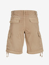 Jack & Jones Cole Shorts