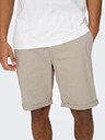 ONLY & SONS Peter Shorts