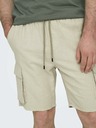 ONLY & SONS Sinus Shorts