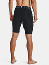 Under Armour HG Armour Lng Shorts