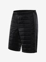 ALPINE PRO Hak 2 Shorts