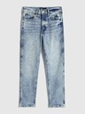 GAP Washwell Jeans