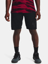 Under Armour UA Perimetr 11'' Shorts