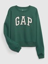 GAP Teen Sweatshirt Kinder