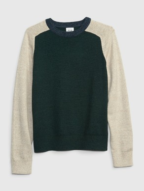 GAP Kinderpullover