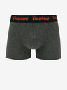 Replay Boxershorts 2 Stück