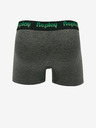 Replay Boxershorts 2 Stück