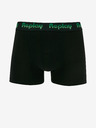 Replay Boxershorts 2 Stück