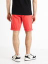 Celio Bochinobm Shorts