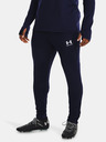 Under Armour UA M's Ch. Train Hose