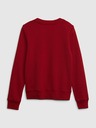 GAP Sweatshirt Kinder