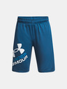 Under Armour UA Prototype 2.0 Logo Kinder Shorts