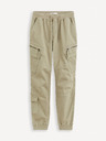 Celio Focoton Hose