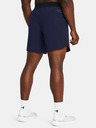 Under Armour UA Peak Woven Shorts