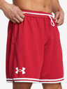 Under Armour UA Perimeter Shorts