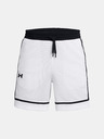 Under Armour UA Zone Pro 7in Mesh Shorts