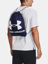 Under Armour UA Ozsee Rucksack