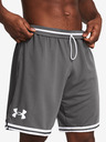 Under Armour UA Perimeter Shorts