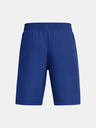 Under Armour UA Tech Woven Wordmark Kinder Shorts