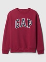 GAP Sweatshirt