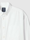 GAP Oxford Big Hemd