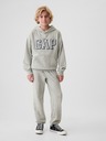 GAP Sweatshirt Kinder